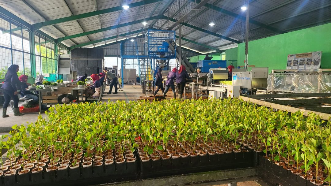 Rows of young plants are growing in a greenhouse. Workers actively tend to the plants with machinery in the background. A sign reads "Plant the Planet," set within an industrial environment.