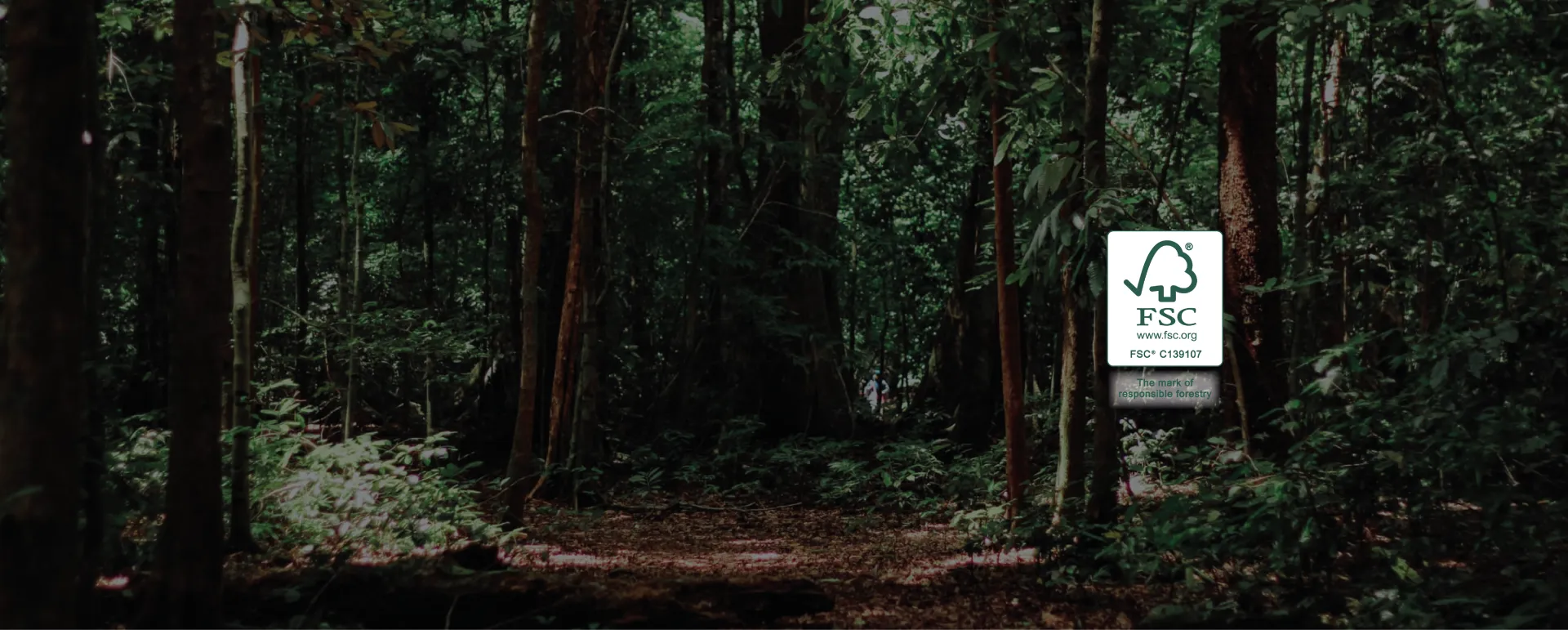Dense trees stand in a lush forest. A sign displays: "FSC www.fsc.org FSC® C139107 The mark of responsible forestry." Sunlight filters through the canopy, casting dappled shadows on the ground.