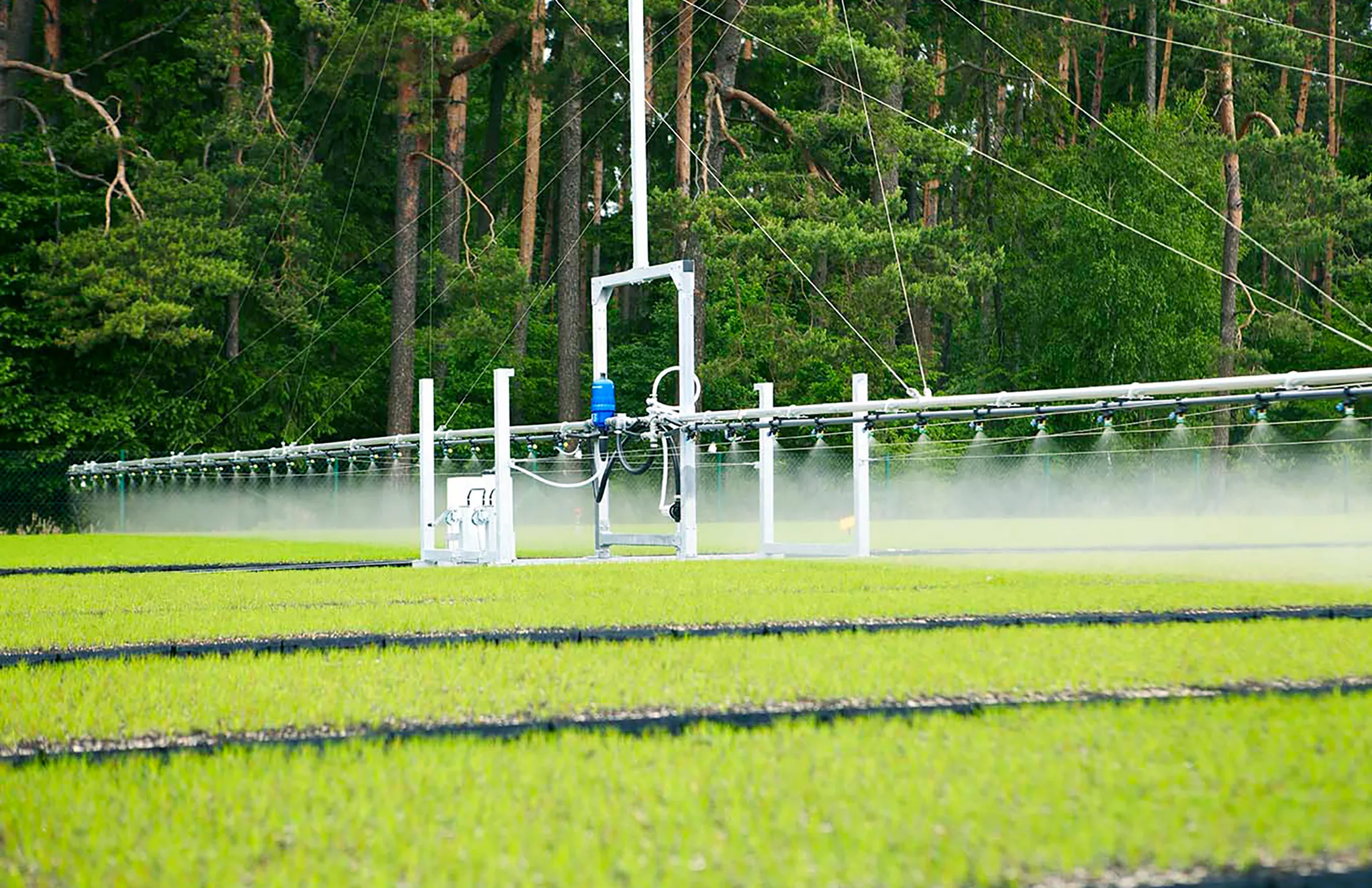 Irrigation system sprays mist over young plants in a field, surrounded by tall trees and greenery. A metal frame supports the sprayers, with wires extending above.