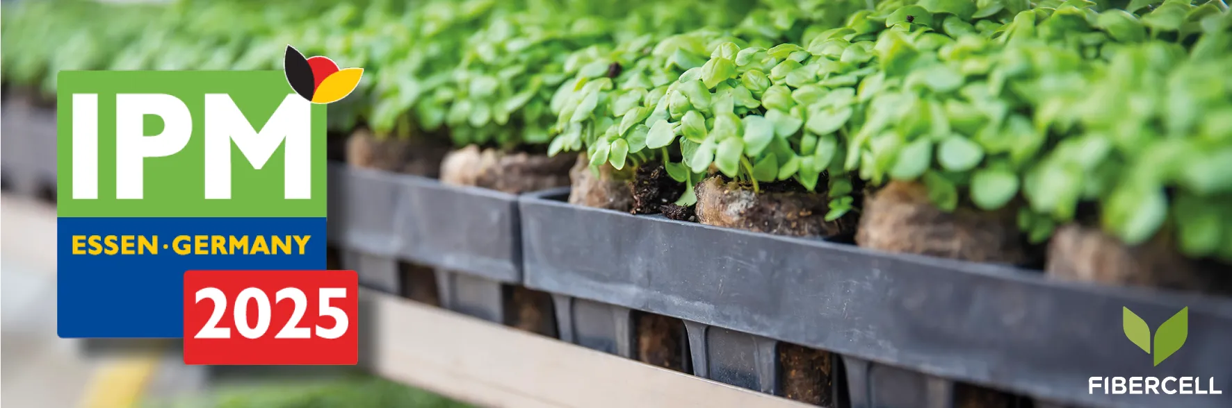Seedlings growing in trays, with "IPM ESSEN·GERMANY 2025" and "FIBERCELL" text overlay. The context is likely a greenhouse or plant nursery.