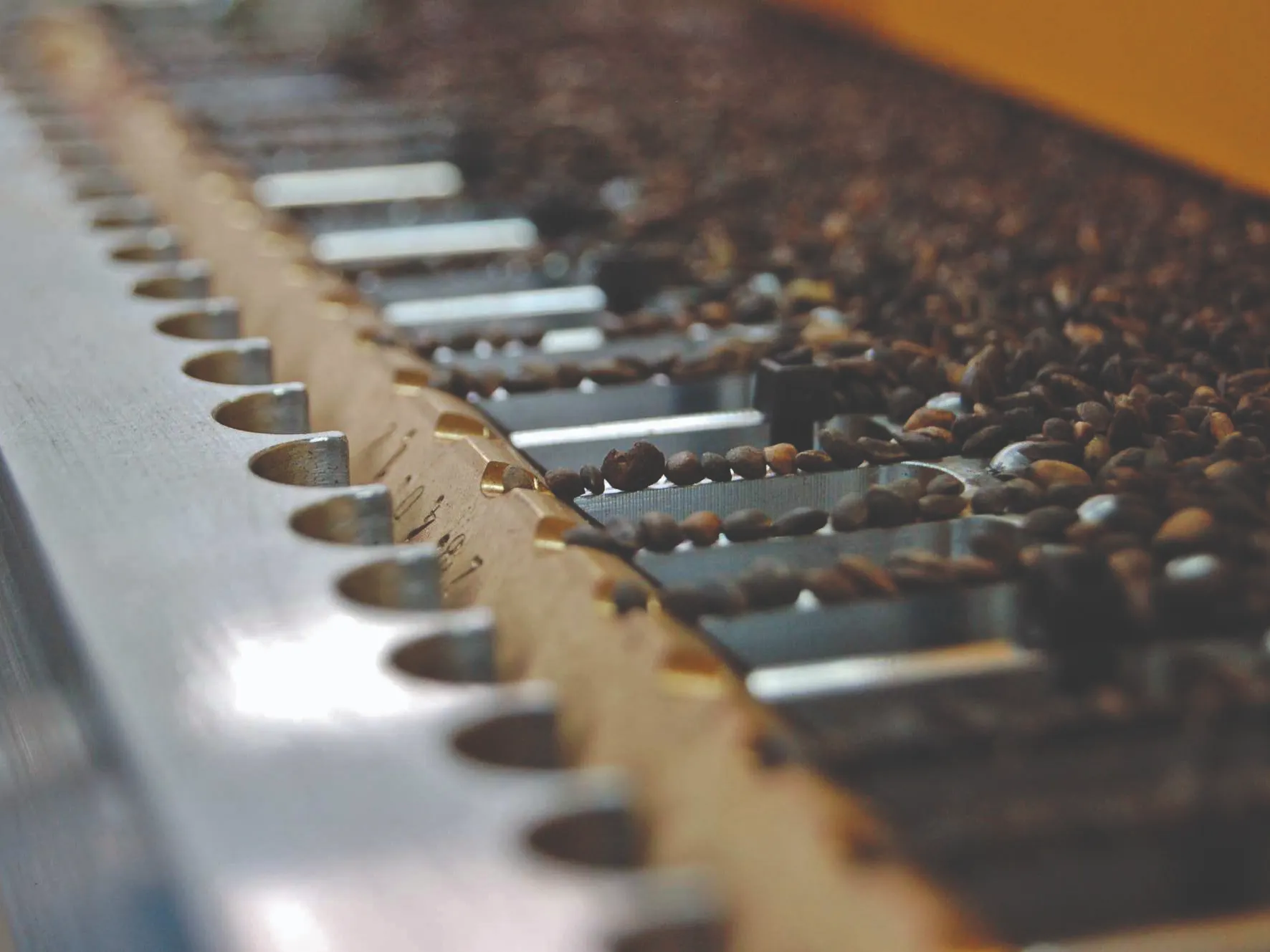 Seeds are dispersed across a metallic conveyor with grooves. In the background, more seeds are densely scattered, indicating a sorting or processing activity in an industrial setting.